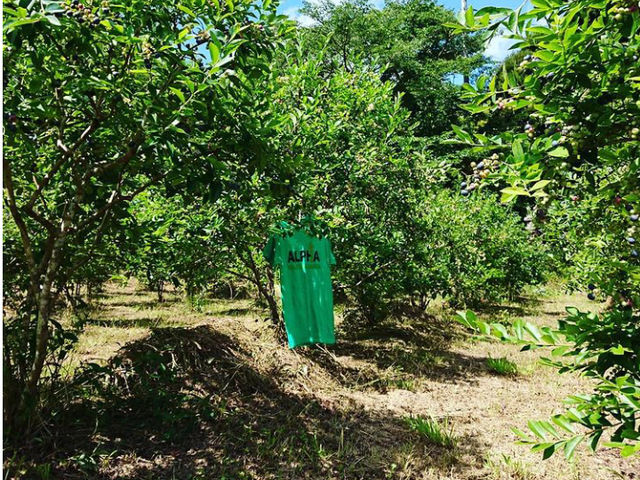 ���q�l���΂̕��𒅂Ă���ƌ������\��������܂��̂ł����ӂ�������_���ꂢ��Ђ邸