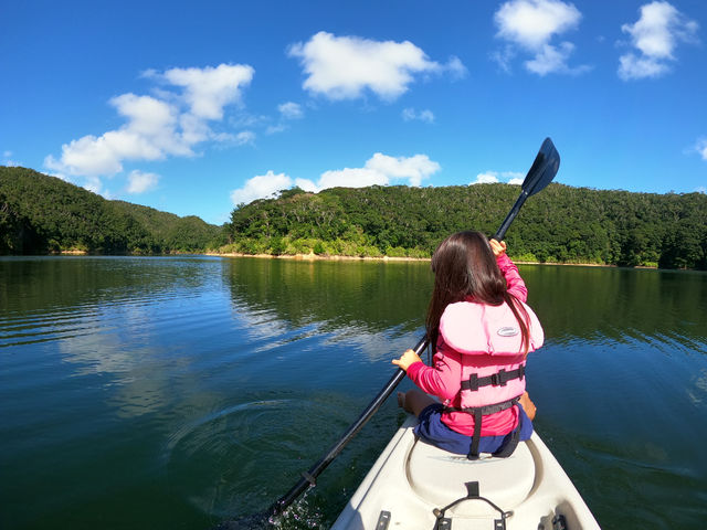 �L���Ζʂ����l���ő����i�߂�u�����B_YambaruBlue