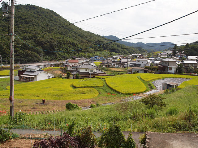 ���y�̊�H�[���H�[�M�������[����̒��߁B�̂ǂ��ȓc�ɂ̕��i�ł��B_�y�̊�H�[