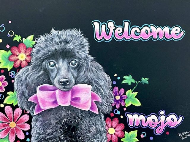 �I�[�_�[�ŕ`�����u�t��i�摜������΁A�I�[�_�[�̂��˗�����t���܂�_�m�A�m�A �`���[�N�A�[�g�@���[�N�X���Z�yNOANOA CHALKART WORKS�z