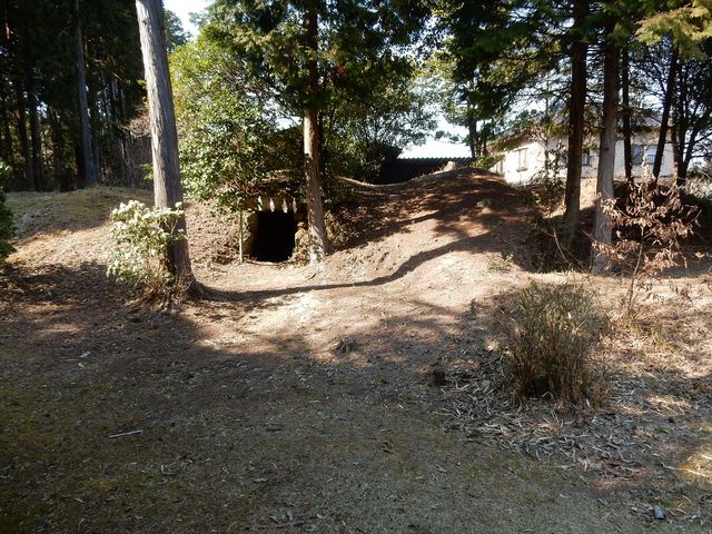 �ۓc�q�̒�ɍ݂铌�L���s�w��j�Ղ̐�ܕS�N�O�̉������Ύ��̂���ۓc�Õ��Q�ł��B_���|�̗� �ۓc�q