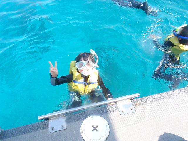 ���q�l�����Q��OK_FACE