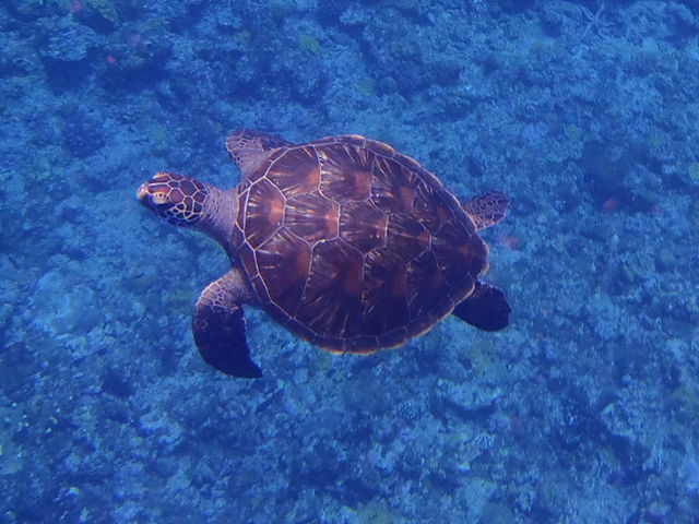 �l���������邩�ȁH�I_FACE