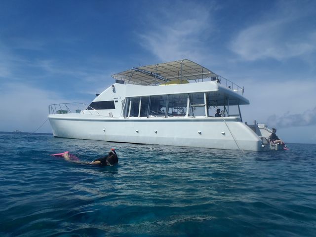 �J�^�}�����N���[�U�[�ŉ��K�I�I_FACE