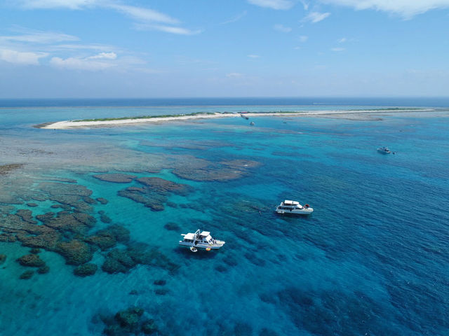 �L���C�߂��܂��E�E�E_FACE