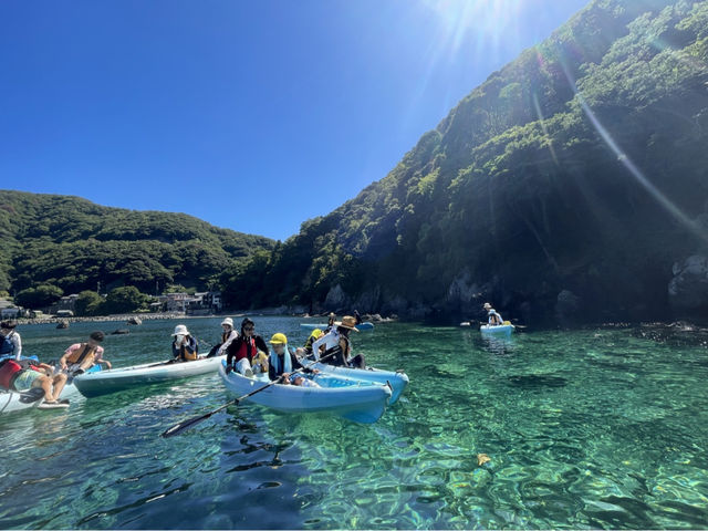 ���R�ɑ�̎������ځ[��