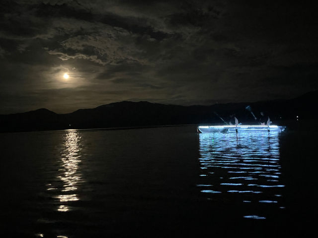 ���R�ɑ�̎������ځ[��