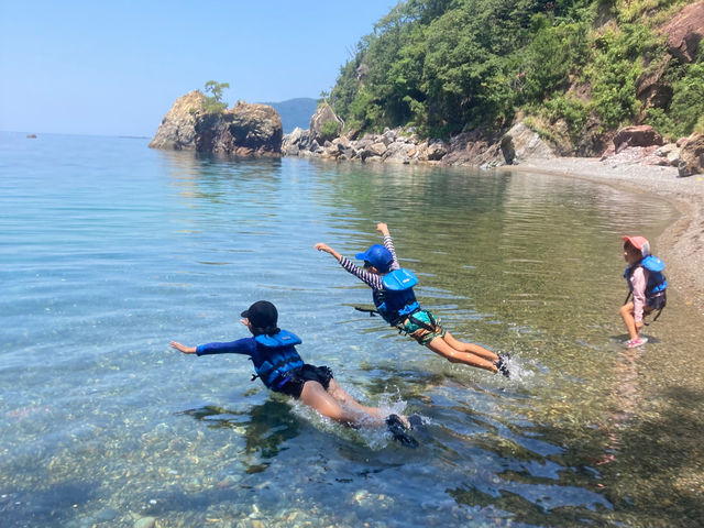 ���R�ɑ�̎������ځ[��