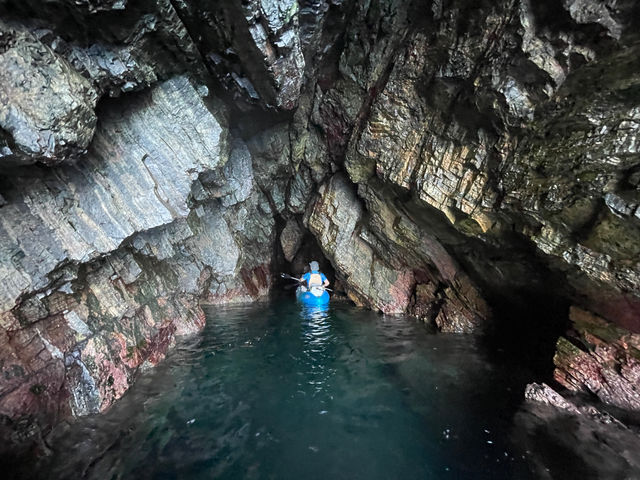 ���R�ɑ�̎������ځ[��