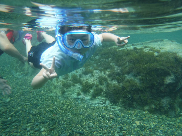 ���R�ɑ�̎������ځ[��