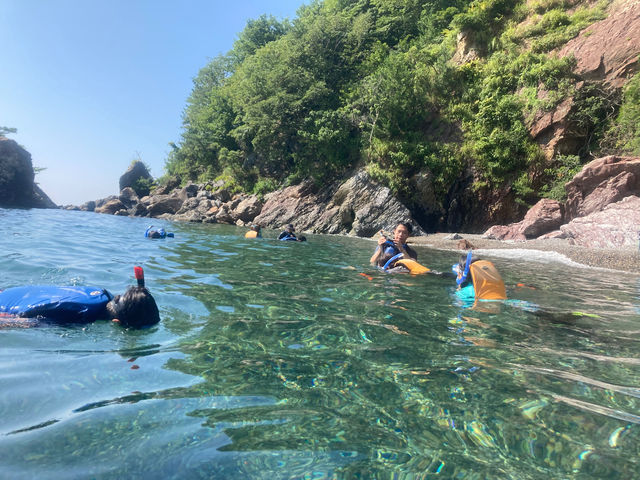 ���R�ɑ�̎������ځ[��