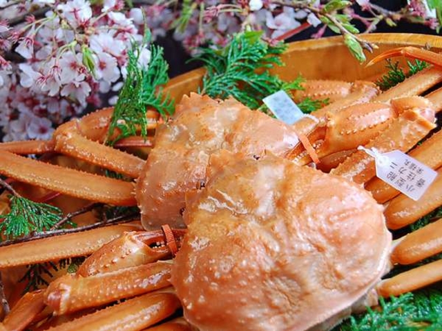 �t�ƏH�́u�g�Y���C�J�j�v�ł��B�~�̏��t�I�ƐH�ה�ׂ��ĉ�������_���ف@�݂ȂƑ�