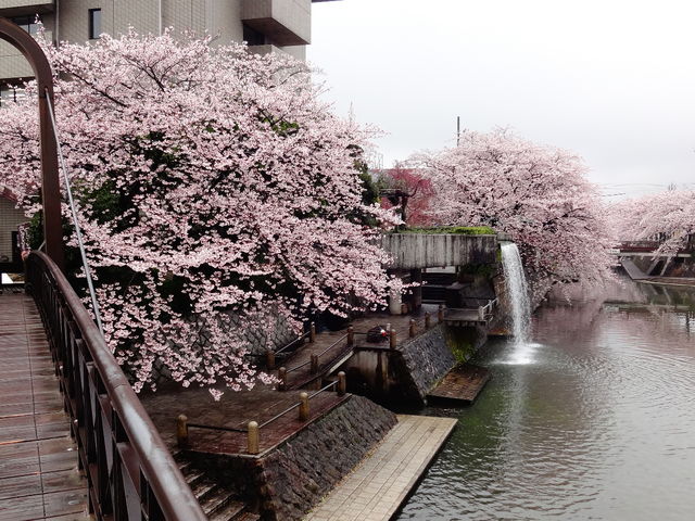 �l�G�̍L��