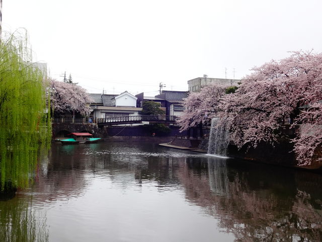 �l�G�̍L��