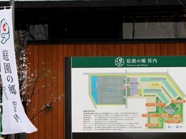 ���̉w �뉀�̋� �ۓ�