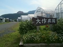 大作農園の写真1