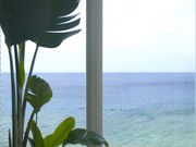 The Shanbio Spa̎ʐ^2