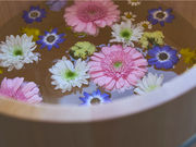 ���� �����J�t�F&�t�b�g�}�b�T�[�W�̎ʐ^2