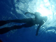 ɓ哇@_CrO@݂̂̎ʐ^3