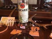 FAR EAST HORIZON {X̎ʐ^4