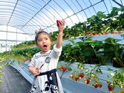 �t�����̎ʐ^2