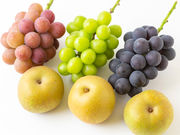 �t�����̎ʐ^4