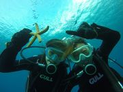 Simple@marine@service̎ʐ^2