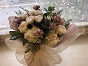 olive olive`I[uEI[u̎ʐ^2