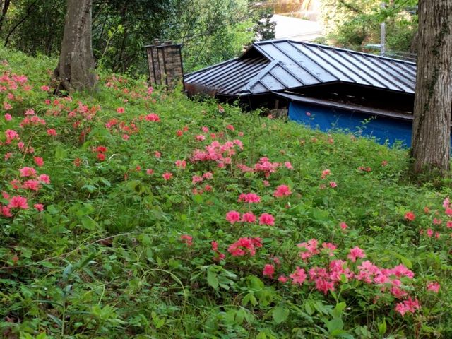 ���o��q����  ~�t~_�q���@�����