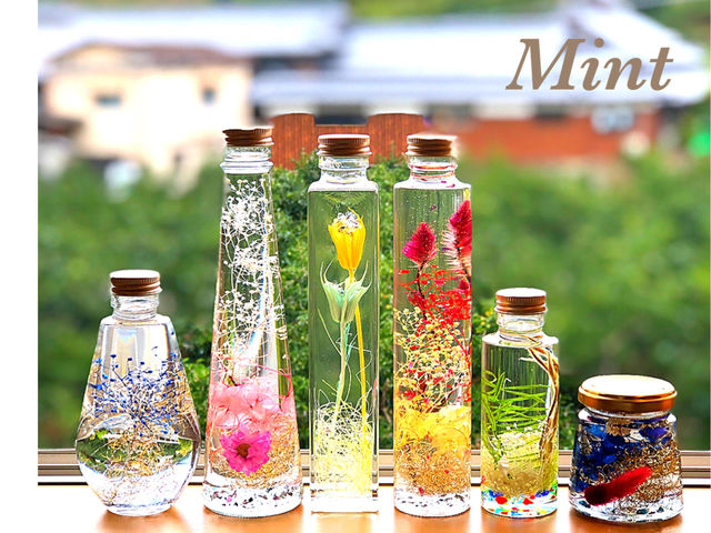 �n�[�o���E��_Mint