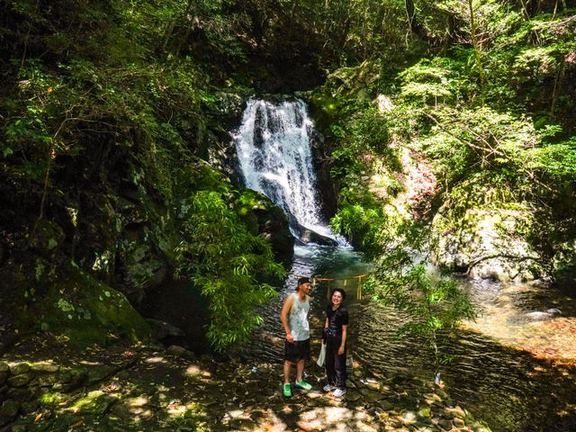 ���O�[�����[�V���O