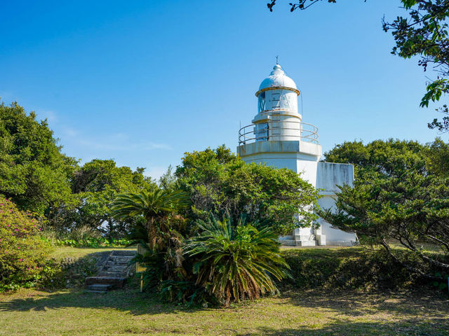 ���O�[�����[�V���O