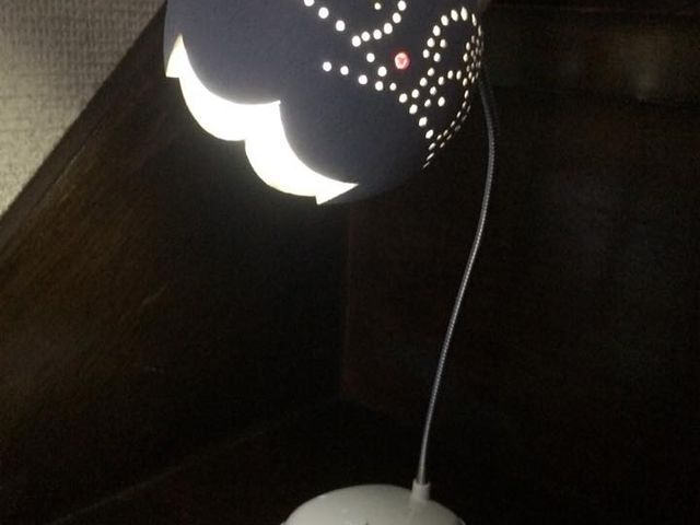 �J���g���[�n�E�X�@Tole�EDoll