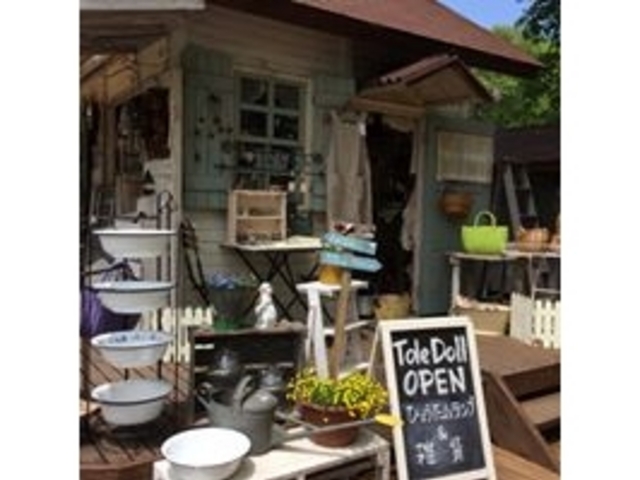 �ߐ{�̎G��shop
�J�V���J�V���̐X�g�[���h�[��_�J���g���[�n�E�X�@Tole�EDoll