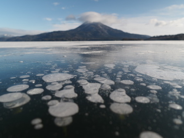 �k�C���o�R�K�C�h�E���c�W��