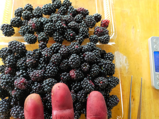 �k�C���͖k���@�ԓ��͒g�����ԊO���@�k���͎��O�������鎇�F�̎��������@�}���x���[�͏������^��ŗ��Ď������Ă��܂��@7��_���R�͔|�������`�_��