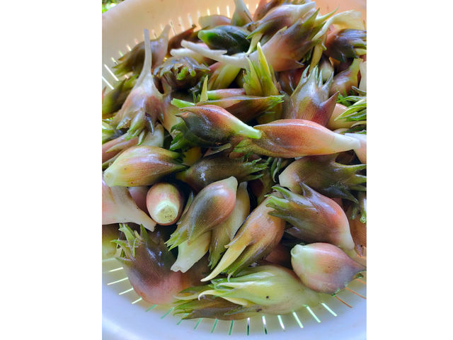 �݂傤���@���~������9��_���R�͔|�������`�_��