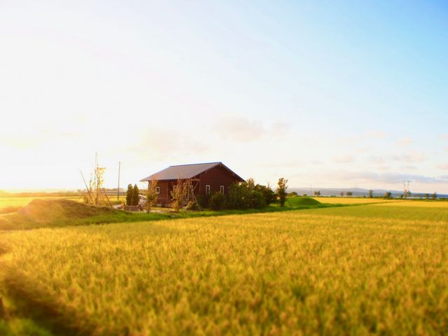 �v�d���̂��X�@tasola