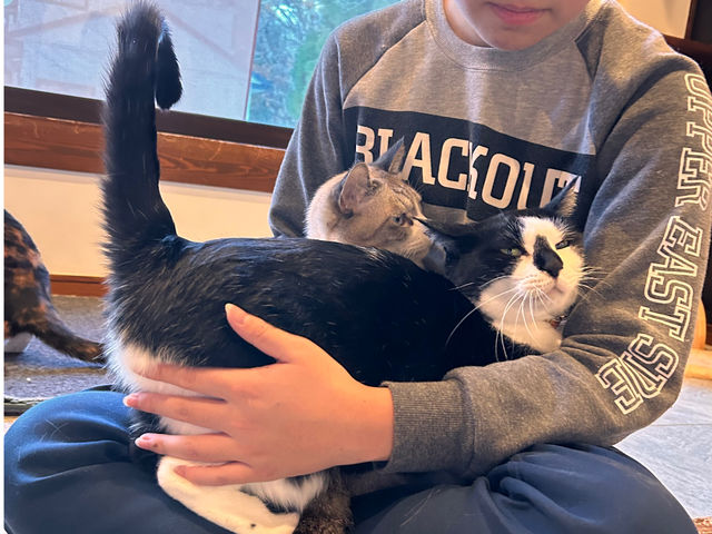 �l�������̂ł��q�l�̂��Ђ���w���ɂ����܂��􂵂��������W���I������(��O)�Ƃ���(��)_�ی�L�J�t�F�@�ʓ@�˂����݂Ȃ݉�