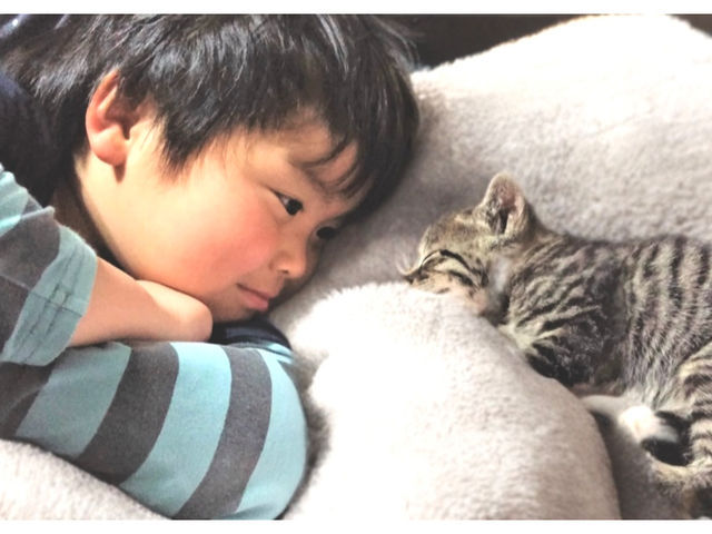 ��U�߃_�C�S�ƈꏏ�Ɉ���Ă���̂Ŏq�����ꂵ�Ă܂��B�ʐ^�͗D�������[�_�[�A�����B_�ی�L�J�t�F�@�ʓ@�˂����݂Ȃ݉�