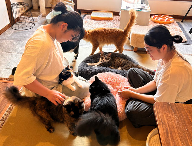 �l���g���[�j���O���ꂽ���ی�L16�j�����Y�͂Ƃɂ����l�������Ƒ�]���I���q�l����D���Ȃ̂ł��G�ɏ������T�Ɋ��Y���Ă����ĂɂႵ�B�I���c�s�v�ŔL�܂݂�ɁB_�ی�L�J�t�F�@�ʓ@�˂����݂Ȃ݉�