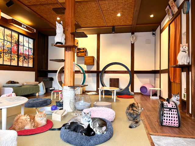 �����ŏL���̖����X���B�L�̍s�����l���ď������f�U�C���A�݌v�B�݂�ɂ�X�g���X�����A�̂т̂тƕ�炵�Ă��܂��B_�ی�L�J�t�F�@�ʓ@�˂����݂Ȃ݉�