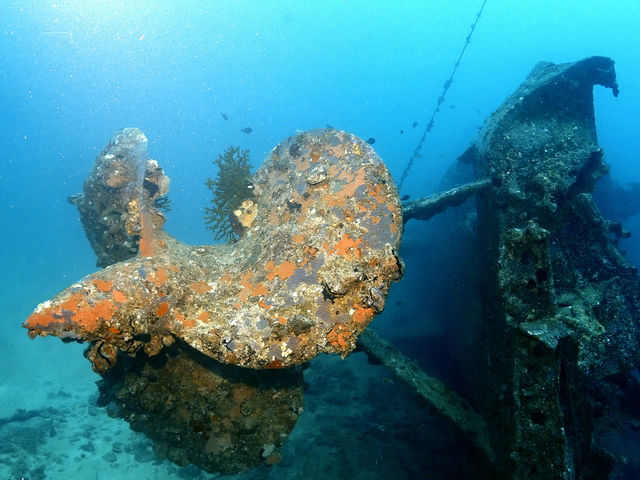 Scuba Diving Salon mardiving
