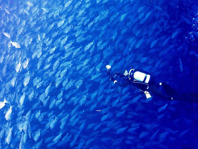 Scuba Diving Salon mardiving
