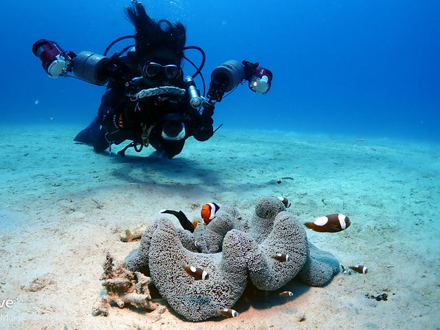 Scuba Diving Salon mardiving