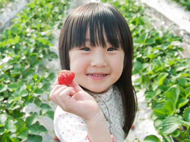 �R���̎��R���j�̌��@�Z���X�E�I�u�E�����_�[�R��