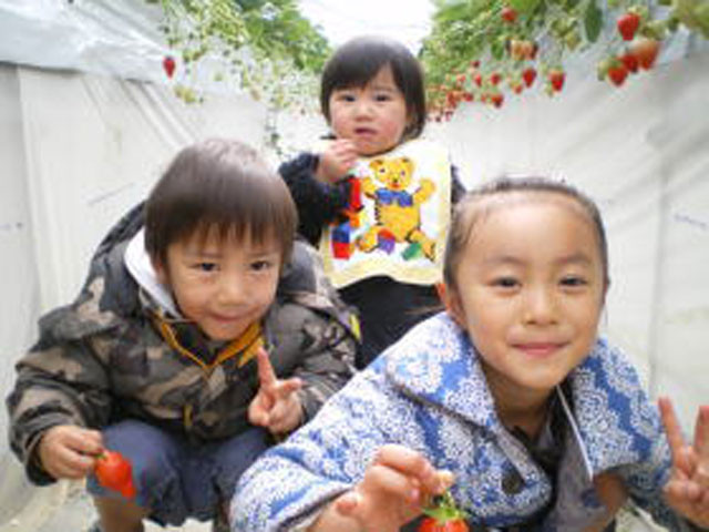 �R���̎��R���j�̌��@�Z���X�E�I�u�E�����_�[�R��