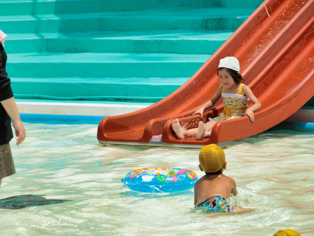 �y�Ċ�����z�c���p�����_�z������ �����̓� ����h �j���[�T���s�A��ʂ�����