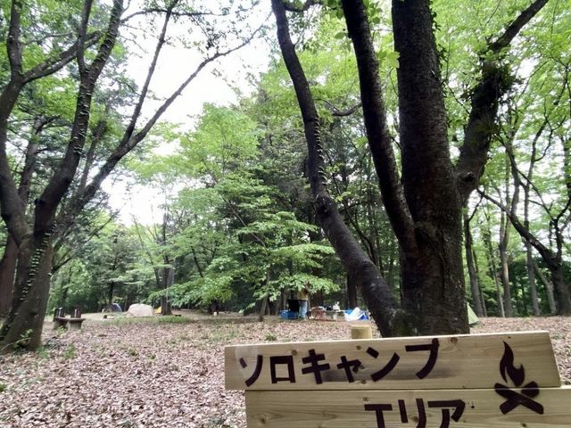 Îyށu\LvpTCgvSii򗘗pj_z ̓ h j[TsAʂ