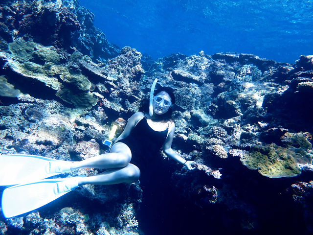 �X��̐X!_�n�[�~�b�g�N���u